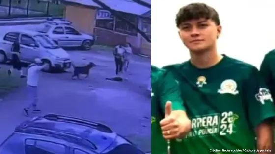 felipe-rincón felipe-rincón