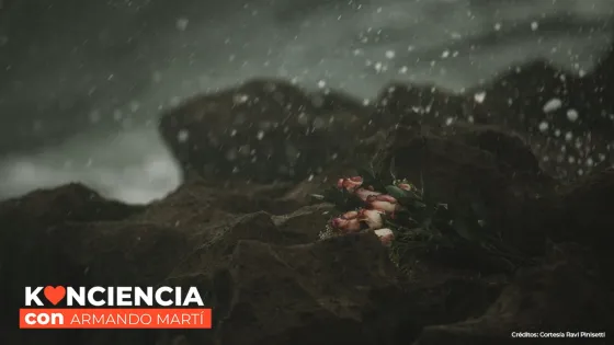 konciencia konciencia