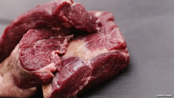 carne-caballo carne-caballo
