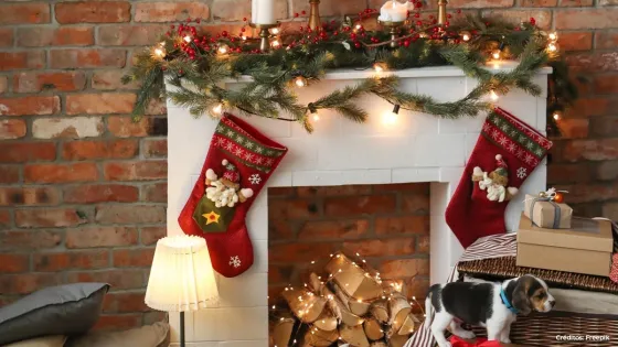 Decoración Navidad Decoración Navidad