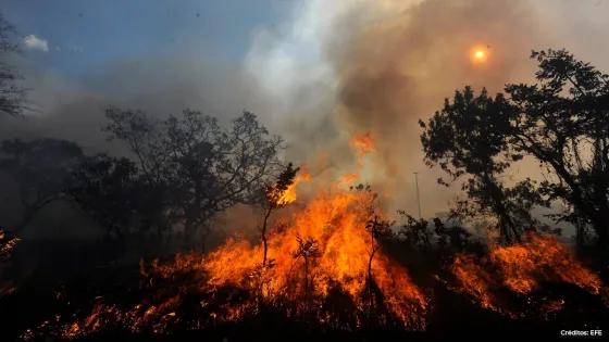 incendios-forestales incendios-forestales