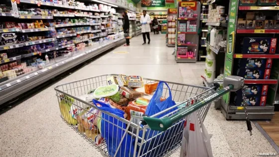 mercado.webp mercado.webp