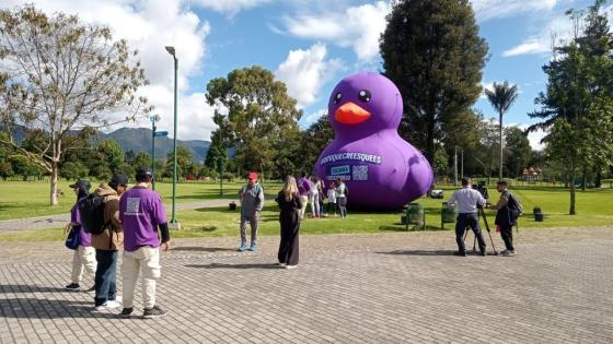 Patos morados Bogotá Patos morados