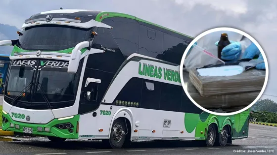 Bus Líneas Verdes Bus Líneas Verdes