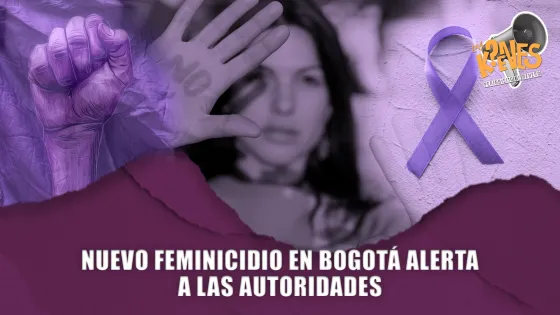 Feminicidio Feminicidio