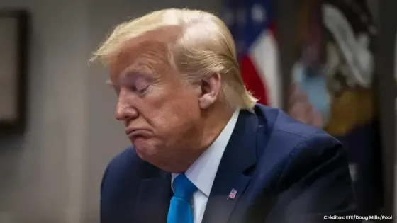 Donald Trump Donald Trump