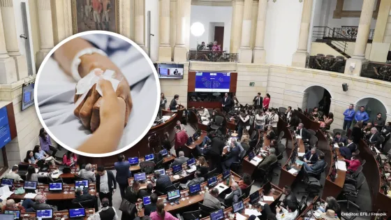 ¿Por qué la Cámara hundió otra vez el proyecto que regulaba la eutanasia? ¿Por qué la Cámara hundió otra vez el proyecto que regulaba la eutanasia?