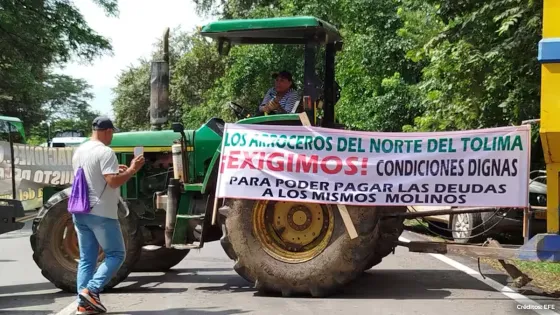 Paro arrocero