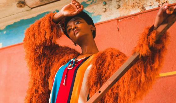 Chaquetas en tendencia Chaquetas