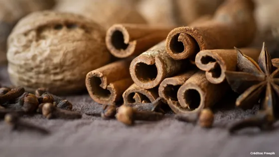 Ashwagandha Ashwagandha