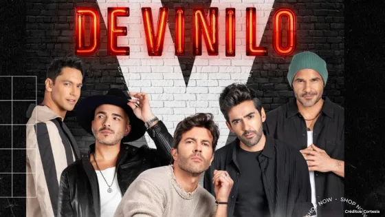 V de Vinilo V de Vinilo