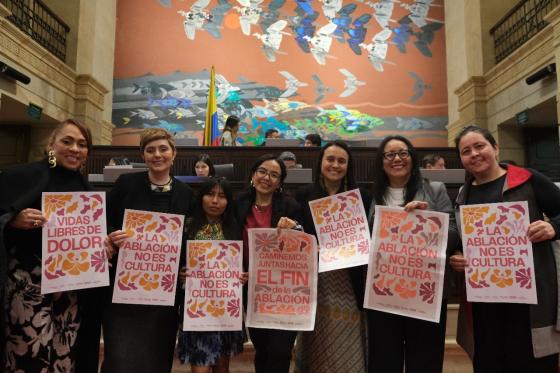 Mutilación-genital-femenina Mutilación-genital-femenina