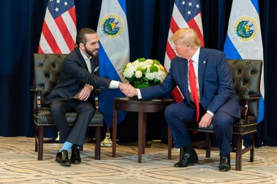 Reunión-Nayib-Bukele Reunión-Nayib-Bukele