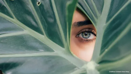 La belleza: el alimento del espíritu La belleza: el alimento del espíritu