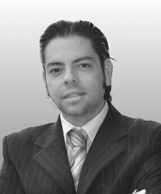 EL OPERADOR LOGÍSTICO, EL BODEGUERO, EL JURISTA Y EL CONSEJO DE ESTADO
