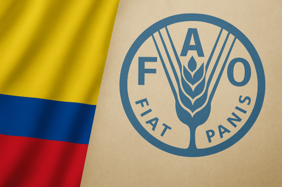 FAO FAO