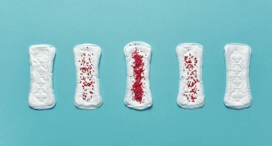 Ciclo menstrual Ciclo menstrual