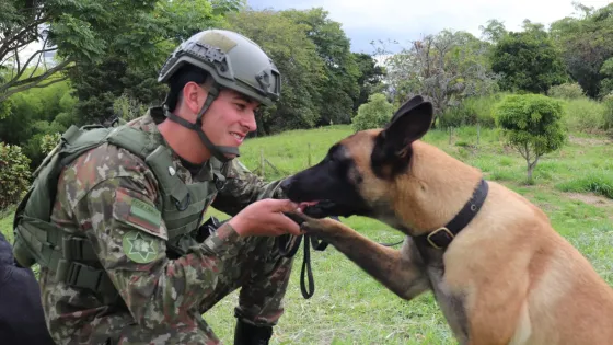 Ely - Ejército- Quindío