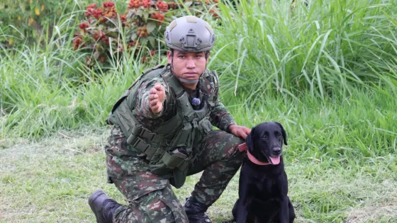 Paloma-Ejército-Quindío