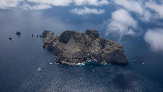 Fundación Malpelo