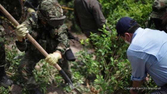 ¿Qué está en juego para Colombia con la certificación antidrogas de EE.UU.?