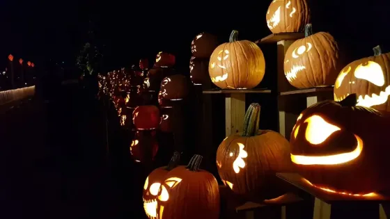 celebraciones de Halloween