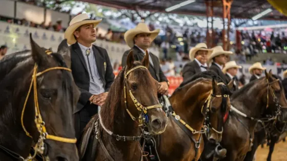 Mundial-Equina-Cali Mundial-Equina-Cali
