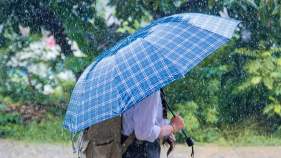 Persona protegida con un paraguas azul camina bajo una fuerte lluvia en un entorno urbano con árboles al fondo. La imagen ilustra las intensas precipitaciones con granizo que se registran en Bogotá y su impacto en los hogares.