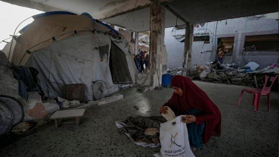 Desde el 10 de octubre, 240 palestinos han muerto y 607 han resultado heridos.