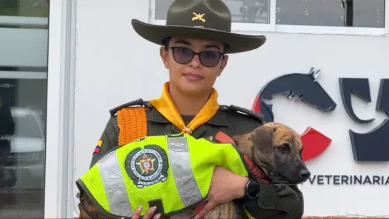 Bizcocho-perrito-maltratado-Antioquia