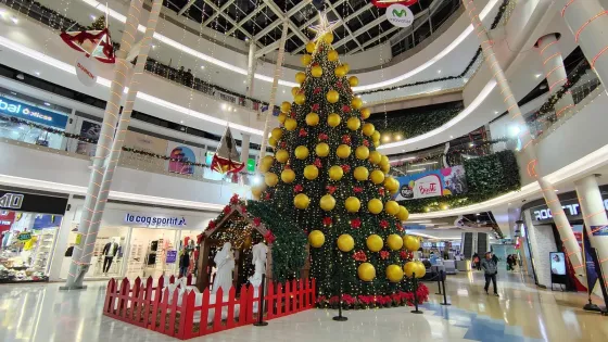 Árbol que junta a sus visitantes en las novenas del Paseo Villa del Río