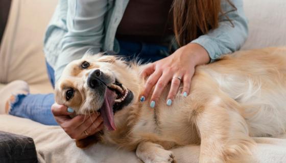 Mujer acariciando perrito.