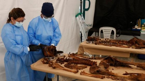 Más de 2.500 restos sin identificar