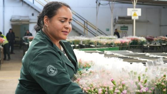 Colombia exportará 900 millones de flores en San Valentín