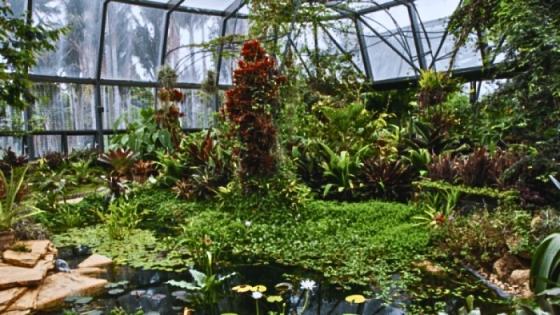 La alianza científica incluye expediciones botánicas y conservación 