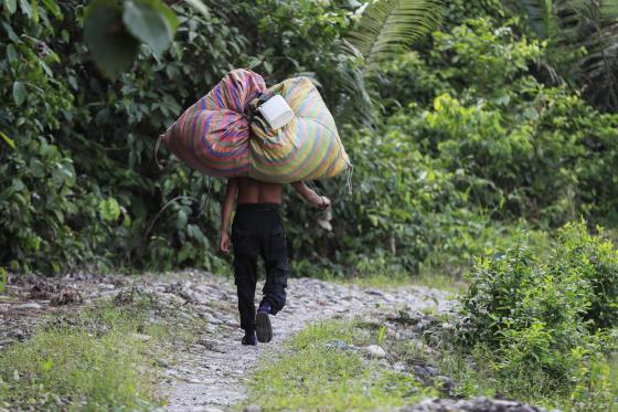 Una persona carga en su espalda bolsas llenas de hojas de coca este viernes, en el Valle del Guamuez (Colombia).
