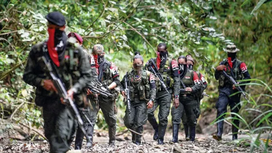 ELN levanta paro armado en Chocó, confirmó la Defensoría