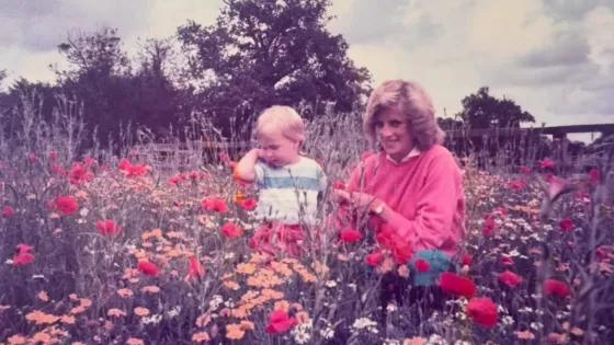 Ladi Di-príncipe Guillermo