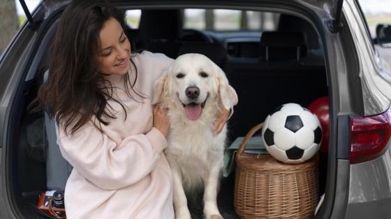 Viajar con mascotas