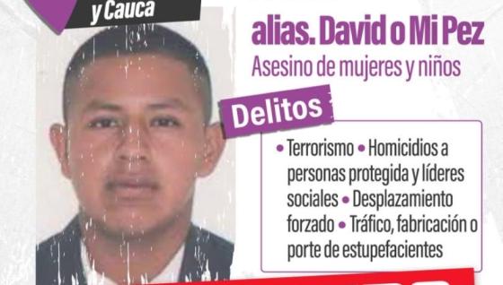 Alias 'David' o 'Mi pez'.