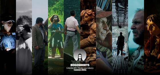 Bogoshorts