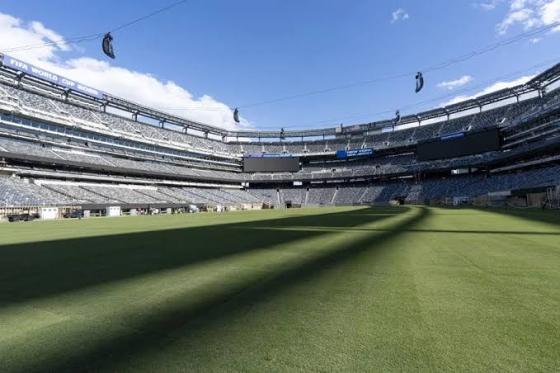 La FIFA vende por pedazos de colección el césped de la final del Mundial