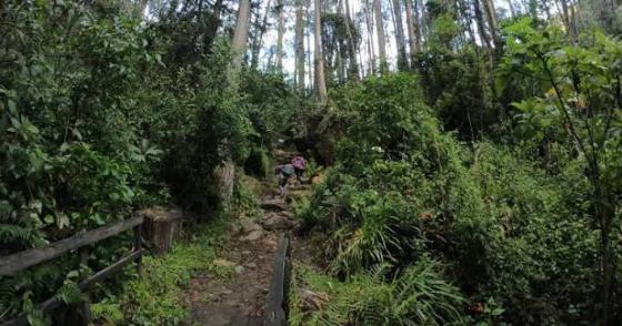 cerros