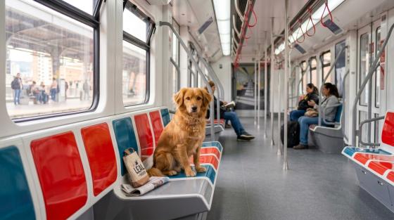 Mascotas Metro de Bogotá