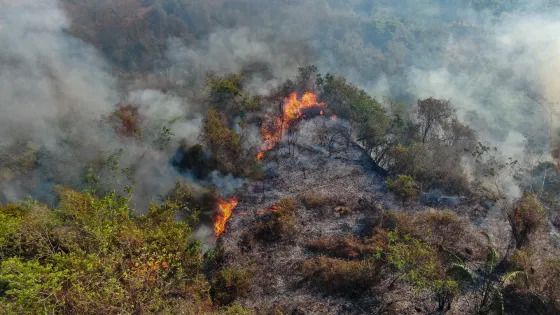Incendios forestales en Tolima