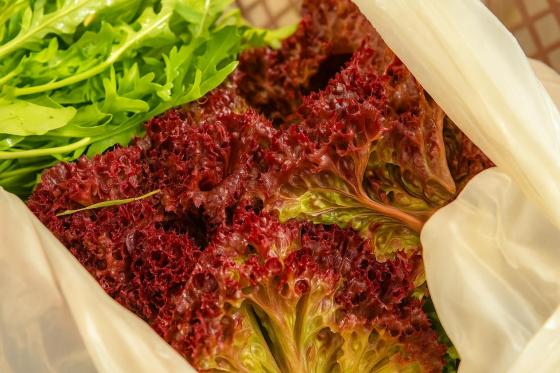 Iniciativas para reducir desperdicio de alimentos en Bogotá