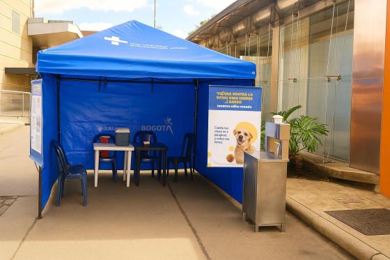 Perro y gato recibiendo vacuna en ExpoPet
