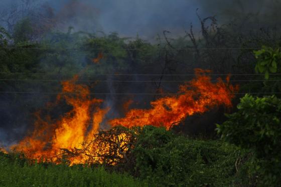 Incendios forestales en cundinamarca 