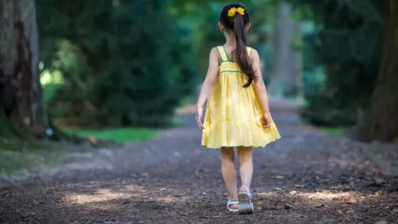 334 niñas desaparecidas en Bogotá