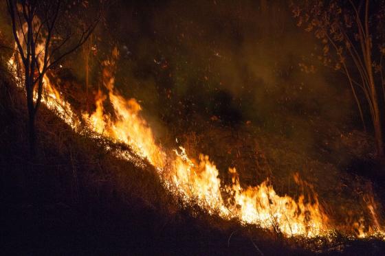 Incendio en abrego santander